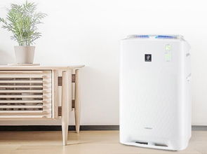 霧霾的傷害比你想的更嚴(yán)重 你還不買個(gè)空氣凈化器嗎